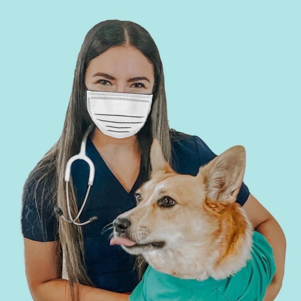 whitecoats and corgis